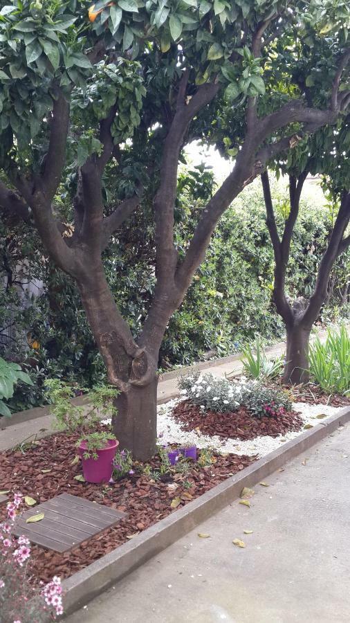 Lovely House Cagnes-sur-Mer Ngoại thất bức ảnh