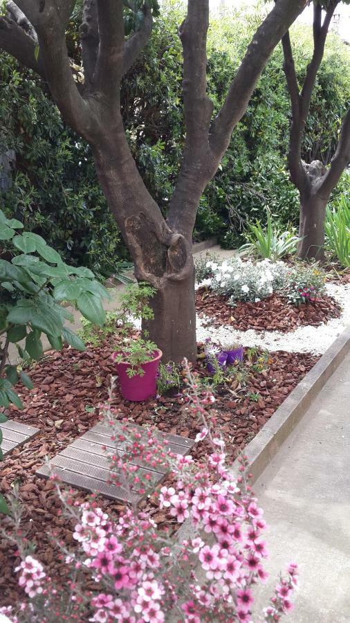 Lovely House Cagnes-sur-Mer Ngoại thất bức ảnh